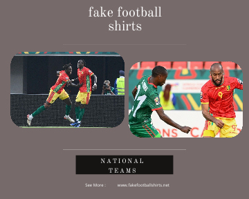 fake Guinea football shirts 23-24